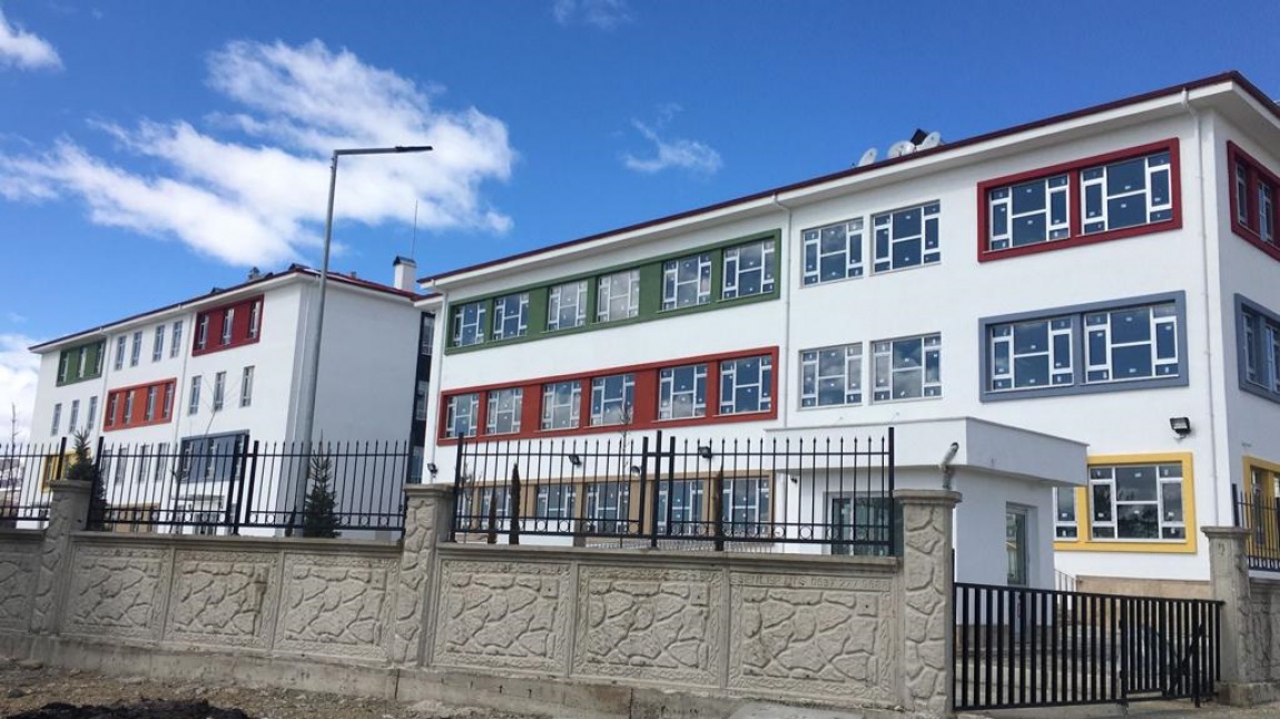Baskil Anadolu Lisesi Fotoğrafı